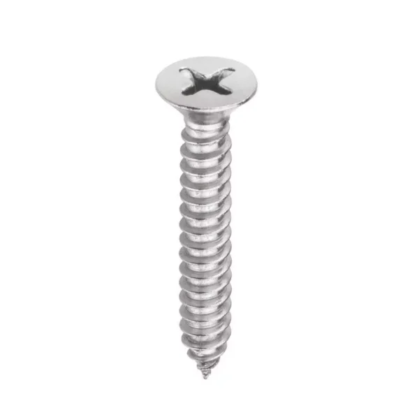 Stainless Steel Phillips Head Screws 60X10 100Pcs